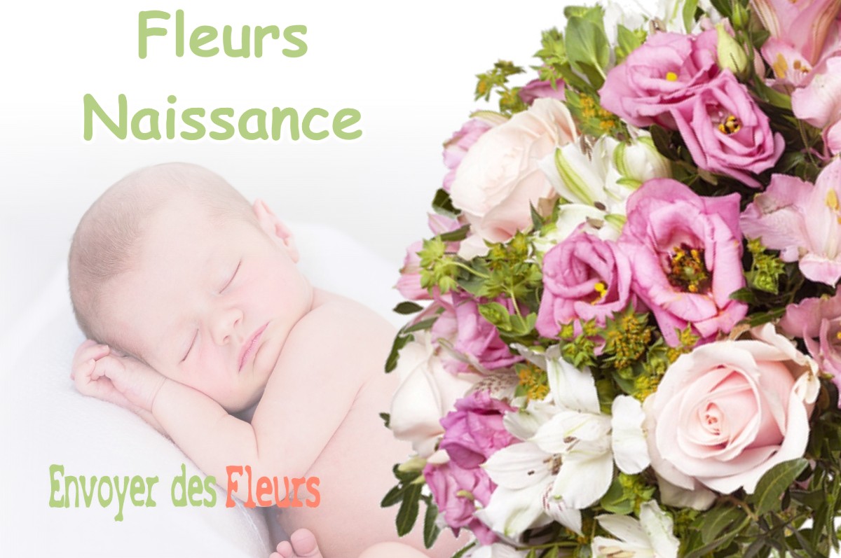 lIVRAISON FLEURS NAISSANCE à CHAUMERGY